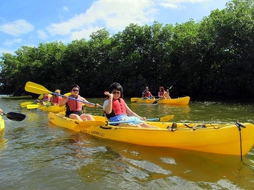 Charlotte Amalie manglar lagoon Cruise Excursion Cost