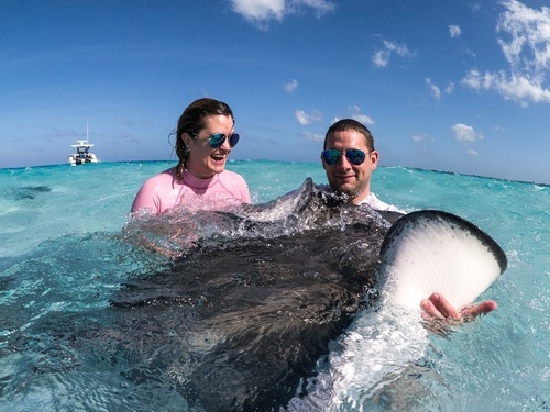 Cayman Islands stingray city Shore Excursion Reviews