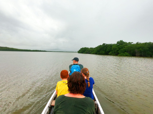 Cartagena Canoe Mangrove Ride Excursion