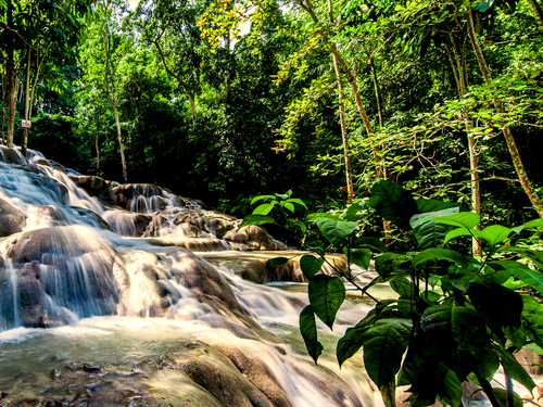 Falmouth Jamaica waterfalls Shore Excursion Reservations