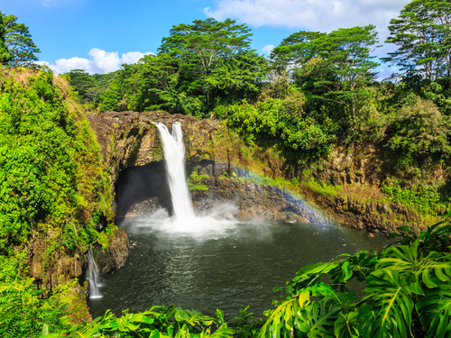 Hilo black sand beach Tour Reviews