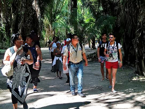 Costa Maya Mexico Chacchoben Ruins Cultural Trip Cost