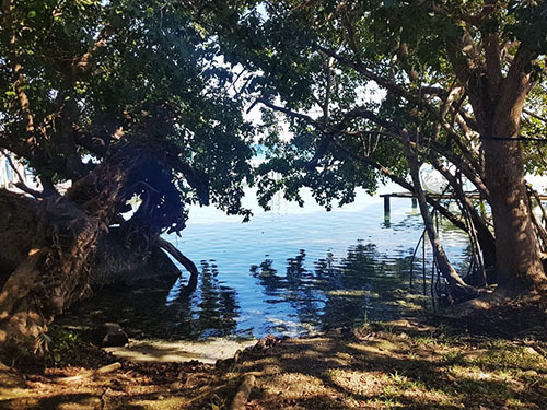 Costa Maya Chacchoben Mayan Ruins and Yaxche Lagoon Excursion