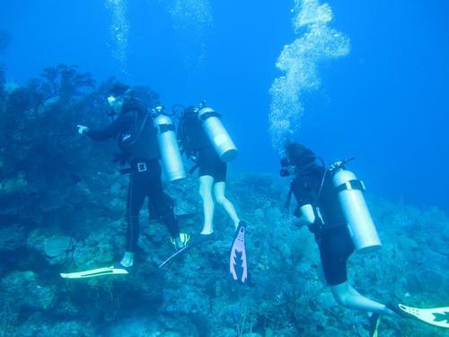 Costa Maya scuba Trip Reservations