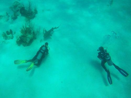 Costa Maya dive Excursion Prices