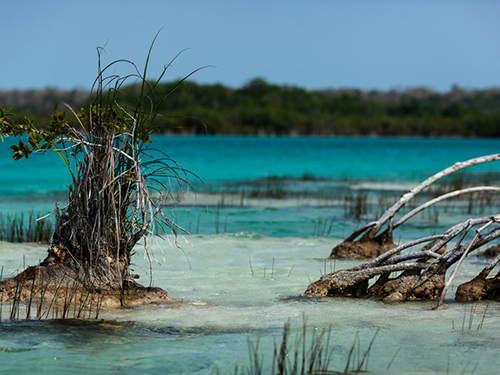 Costa Maya Mexico Family Cultural Shore Excursion Tickets