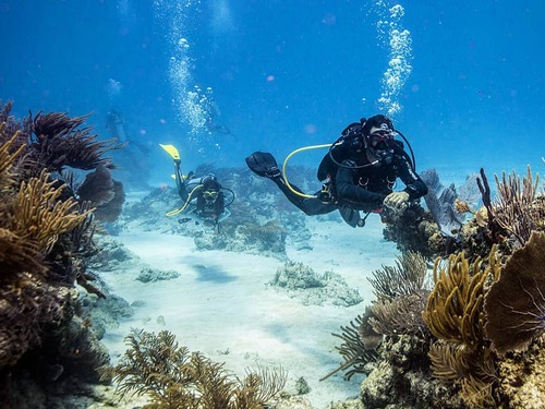 Costa Maya  Mexico Stingrays Tour Tickets