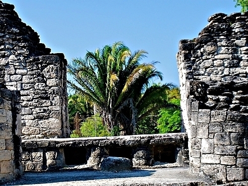 Costa Maya Mexico Swimming Excursion Booking