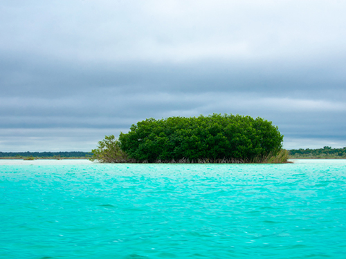 Costa Maya Bacalar Lagoon Cruise Excursion Reservations