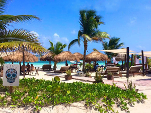 Costa Maya YaYa Beach Club Day Pass: Platinum, Deluxe & Standard