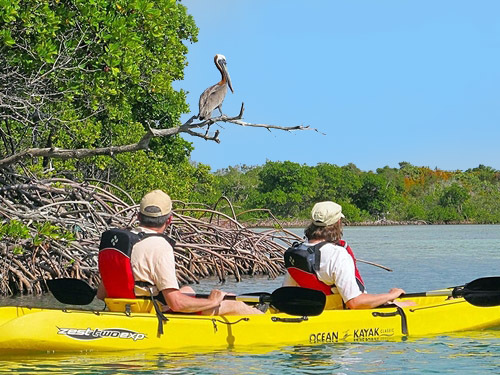 St. Thomas kayak Cruise Excursion Booking