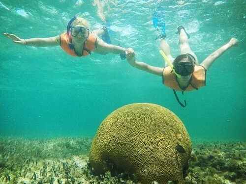 Cozumel Chankanaab Chankanaab Marine Park Shore Excursion Tickets