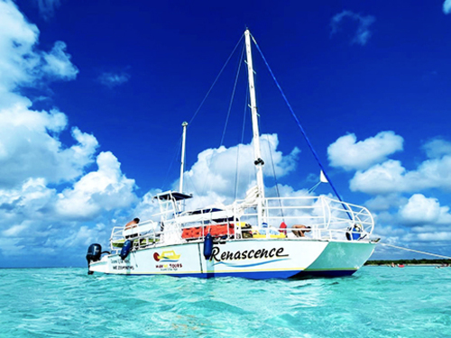 Cozumel Catamaran El Cielo Starfish Sandbar, Stingrays and the Turtle Bay Excursion