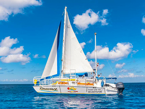 Cozumel Catamaran El Cielo Starfish Sandbar, Stingrays and the Turtle Bay Excursion