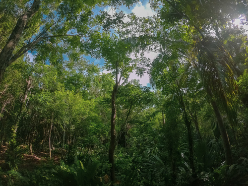 Cozumel Cenote Tour Prices