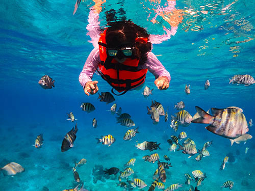 Cozumel chankanaab Excursion Booking