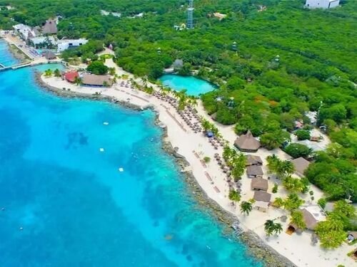 Cozumel Chankanaab Park Premium Day Pass with Open Bar and Lunch Excursion