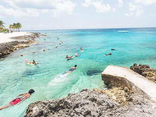 Cozumel Chankanaab Park Premium Day Pass with Open Bar and Lunch Excursion