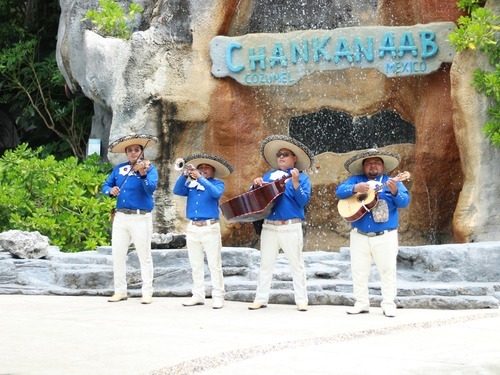 Cozumel Chankanaab Park Premium Day Pass with Open Bar and Lunch Excursion