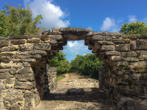 Cozumel  Cruise Excursion Reviews