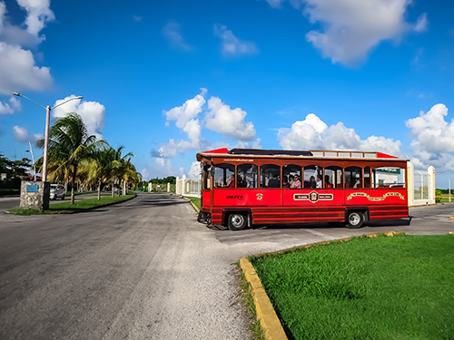 Cozumel Waterfront Promenade Sightseeing Shore Excursion Booking