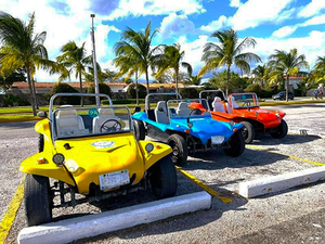 Cozumel Dune Buggy Sightseeing and Otoch Park Mayan Excursion