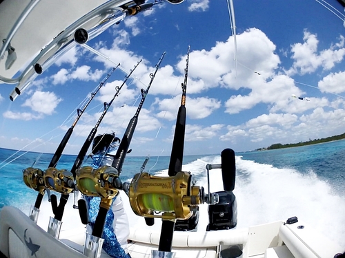 Cozumel fishing Tour Reviews