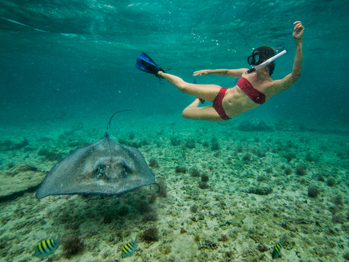 Cozumel glass bottom boat Trip Reservations