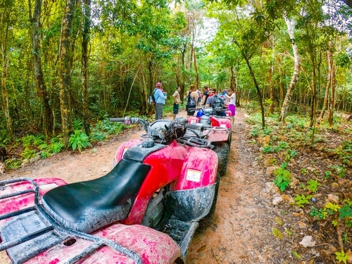 Cozumel Island jungle trails Excursion Booking Cost