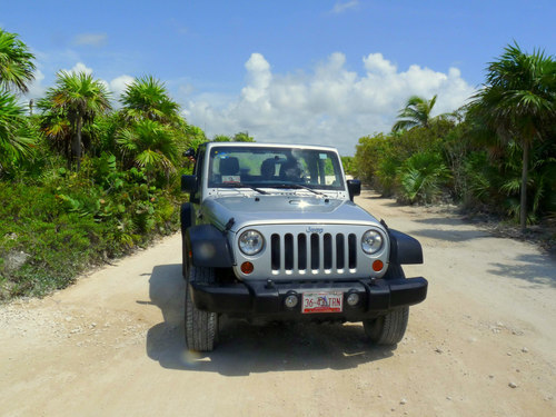 Cozumel Lunch Shore Excursion Reviews