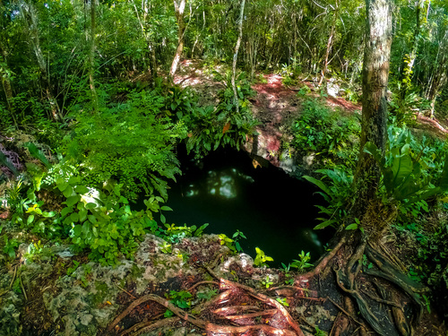 Cozumel  Mexico adventure in the wild Trip Cost