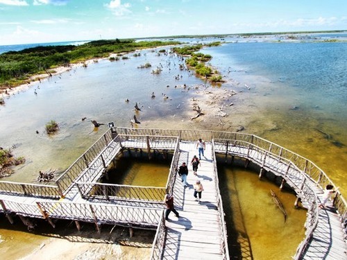 Cozumel Mexico Buggy Ride Excursion Cost