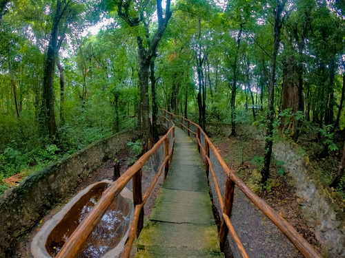 Cozumel  Mexico Cozumel Jungle Excursion Prices