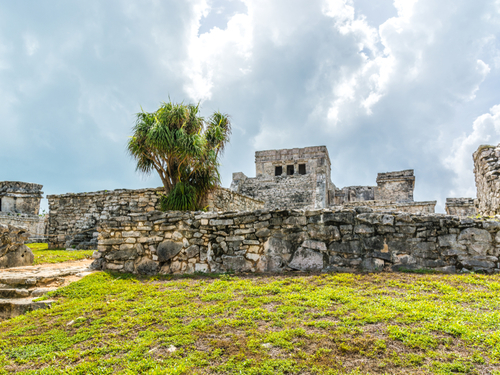 Cozumel Mexico Guided tour Excursion Reservations