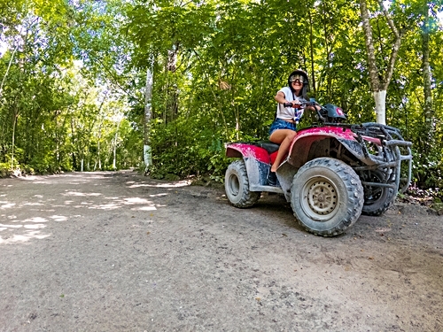 Cozumel Mexico Nature  Trip Booking Tickets