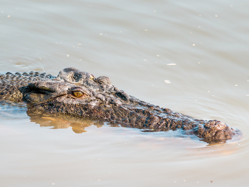 Cozumel Mexico Off Road Trip Reviews