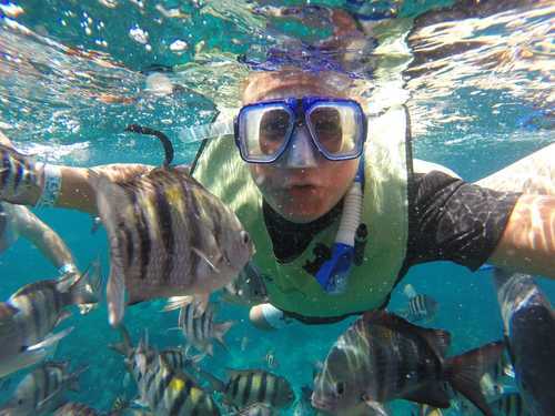 Cozumel Mexico Snorkeling Shore Excursion Tickets