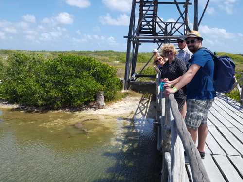 Cozumel Mexico Snorkeling Tour Booking