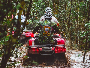 Cozumel Off-Road ATV and Jungle Zip Line Excursion