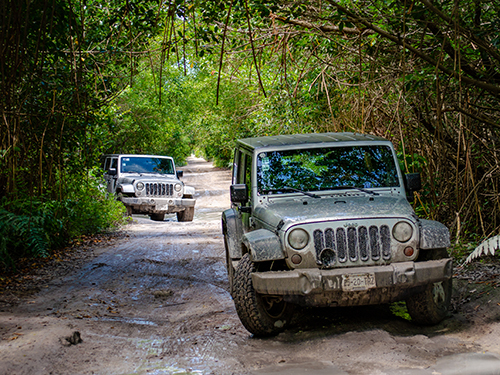 Cozumel Buffet Lunch Jeep Excursion Cost