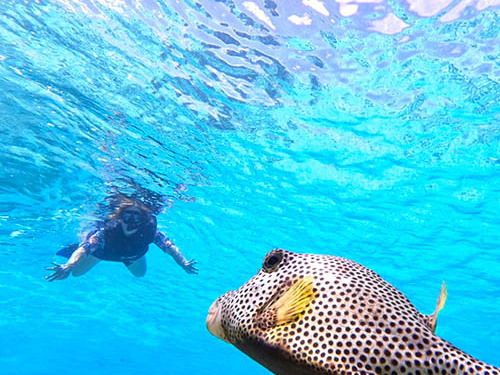 Cozumel Private Island Jeep Excursion with Lunch