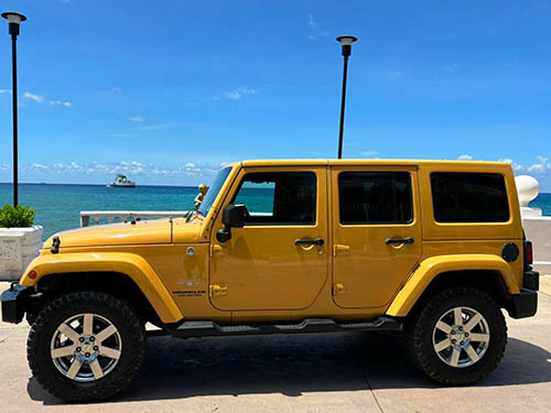 Cozumel Private Island Jeep Excursion with San Gervasio Mayan Ruins