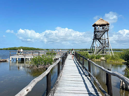 Cozumel Private Jeep Adventure with Otoch and Punta Sur Eco Park Excursion