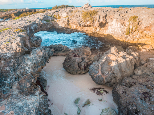 Cozumel Punta Morena Beach Shore Excursion Booking