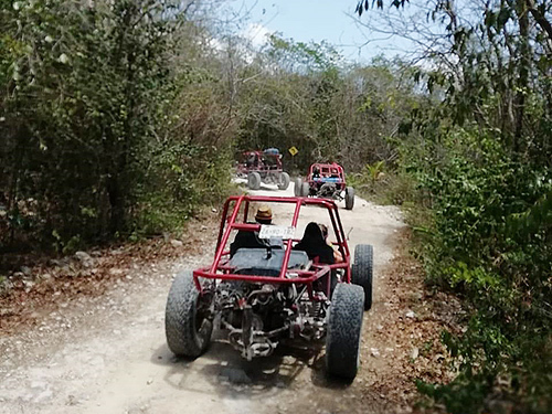 Cozumel San Gervasio Cruise Excursion Reviews