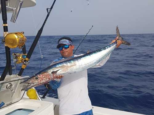 Cozumel fishing Cruise Excursion Booking