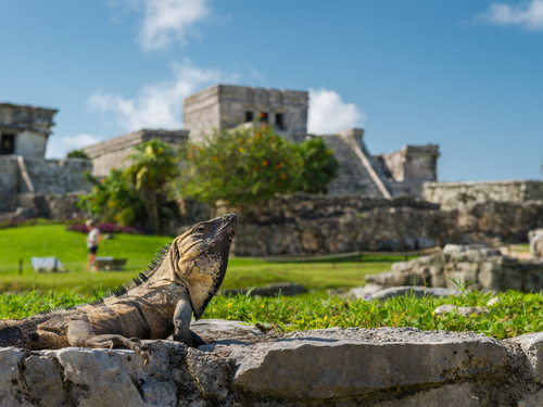 Cozumel Tulum Ruins Trip Reviews