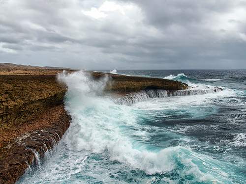 Curacao Liquor Factory Sightseeing Trip Cost