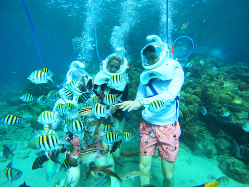 Curacao Sea Trek Helmet Dive Underwater Walk Excursion