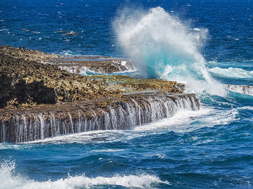 Curacao Willemstad Family Shore Excursion Tickets